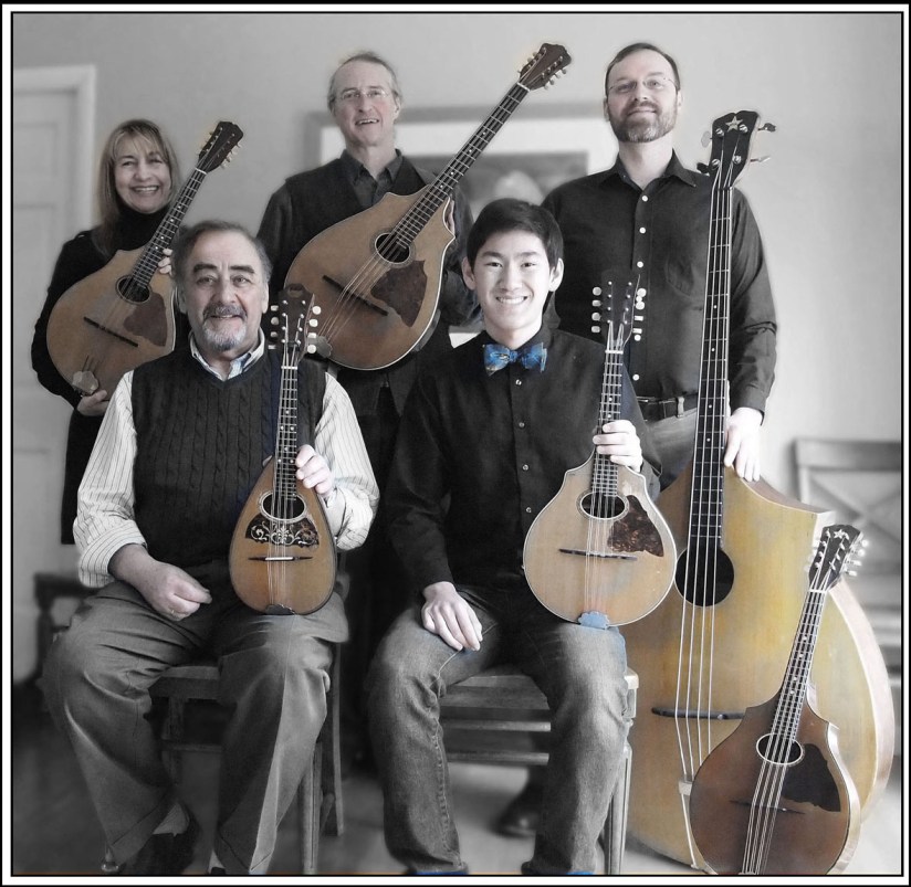 New Vintage Frets wp